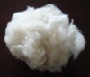 Polyester Fiber