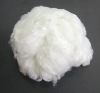 Polyester Fiber