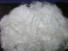 Polyester Fibre