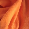 Polyester Fleece Fabric