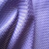 Polyester Mesh Fabric