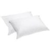 Polyester  Pillow