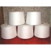 Polyester Poy 300D/96F Sd Rw Yarn