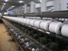 Polyester Ring Spun yarn for knitting and weaving 20s 30s 40s