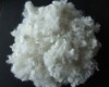 Polyester Staple Fiber