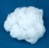 Polyester Staple Fiber