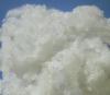 Polyester Staple Fiber