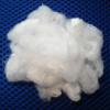 Polyester Staple Fiber,white 1.4D