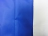Polyester Taffeta Fabric With Milky Coating