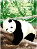 Polyester animal panda printed fleece blanket