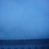 Polyester base cloth
