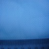 Polyester base cloth