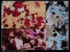 Polyester knitted french terry fabric
