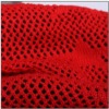 Polyester mesh fabric for clothing