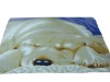 Polyester polar fleece blanket