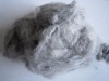 Polyster fiber