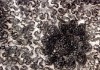 Popular Dribbling embroidered fabric of for dress and garment