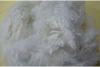 Popular and New !! hollow recycled polyester staple fiber