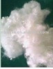 Popular and New  !!!  polyester staple fiber