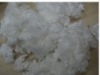 Popular and New  !!! recycled polyester staple fiber