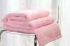 Portable coral fleece warm blanket