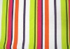 Printed Canvas Fabric