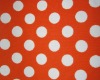 Printed Canvas Fabric