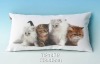 Printed Cat Cushion Covers