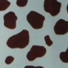 Printed Coral Fleece Fabric