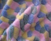 Printed Coral Fleece Fabric