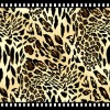 Printed Cotton Poly Jersey Fabric