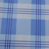 Printed Nonwoven Fabric