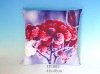 Printed Satin Cushion Cover