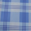 Printed Spunbonded Nonwoven Fabric