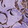 Printed Super Soft Velour Fabric