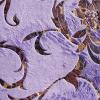 Printed Super Soft Velour Fabric