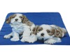 Printed fleece blanket