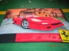 Printed fleece blankets/polar fleece blankets