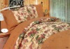 Printing Embroidery Bedding Set