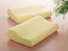 Professional manufacturer supplying memory foam,memory foam pillow,,memory foam mattress,memory foam mattress topper.