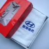 Promotional towel