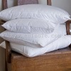 Pure Mulberry Silk Pillow