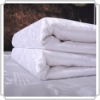 Pure Mulberry Silk Quilt
