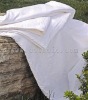 Queen Size 100% Mulberry Autumn Silk Comforter