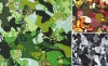 RAYON PRINTED FABRIC