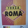 ROMA LOGO  printed 100%polyester fleece fabric