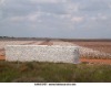Raw Cotton Bales (S-6)