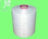 Raw White DTY yarn