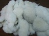 Raw rabbit Fur