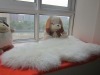 Real Australian Sheepskin carpet Oriental Carpets +Factory compertitive price